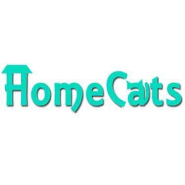 HomeCats Cat Sitters photo